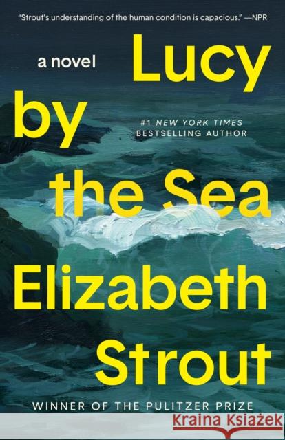 Lucy by the Sea: A Novel Elizabeth Strout 9780593446089 Random House Trade - książka