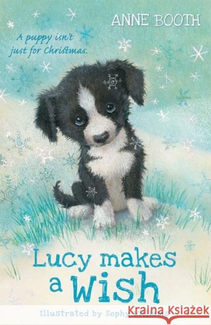 Lucy Makes a Wish Anne Booth Sophy Williams  9780192772480 Oxford University Press - książka