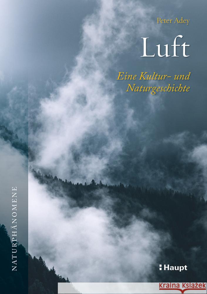 Luft Adey, Peter 9783258084121 Haupt - książka