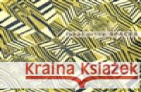 Lukáš Orlita: Spaces Lukáš Orlita 9788087303047 Dolmen - książka