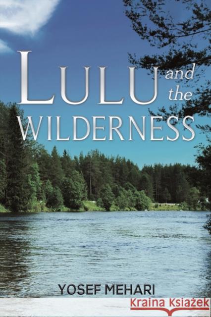 Lulu and the Wilderness Yosef Mehari 9781649793300 Austin Macauley Publishers LLC - książka
