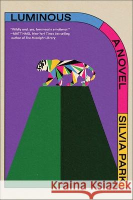 Luminous Silvia Park 9781668021668 Simon & Schuster - książka