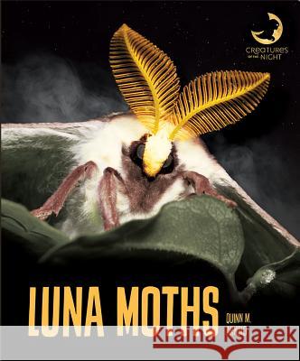 Luna Moths Quinn M. Arnold 9781640261198 Creative Education - książka