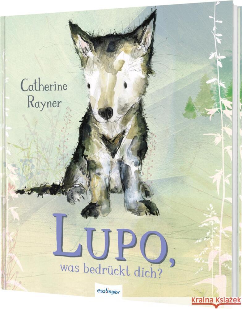 Lupo, was bedrückt dich? Rayner, Catherine 9783480240937 Esslinger in der Thienemann-Esslinger Verlag  - książka
