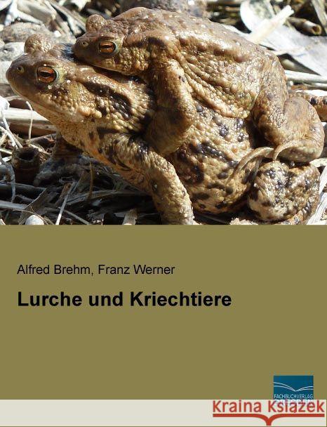 Lurche und Kriechtiere Brehm, Alfred; Werner, Franz 9783956925047 Fachbuchverlag-Dresden - książka