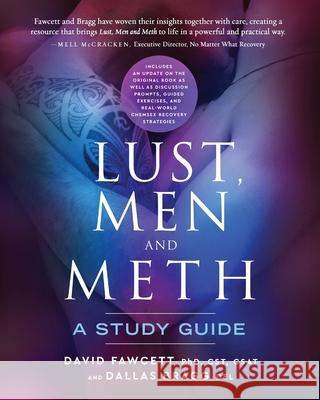 Lust, Men and Meth: A Study Guide David M. Fawcett del Dallas Bragg 9780996257831 Healing Path Press - książka