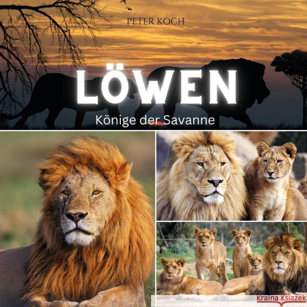 Löwen Koch, Peter 9783750563834 27amigos - książka