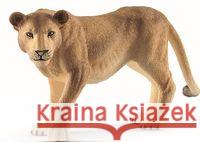 Lwica  4055744029660 TM Toys - książka