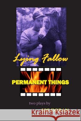 Lying Fallow and Permanent Things: Two Plays Joe Doran 9780974658643 Seedega - książka