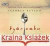 Łyżeczka audiobook Szylko Izabela 9788373865594 Heraclon