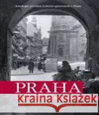 Lázně za císaře pána Pavel Scheufler 9788075297822 Slovart - książka