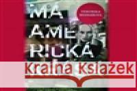 Má americká krása - audiobook Veronika Bednářová 8594177770122 Tebenas - książka