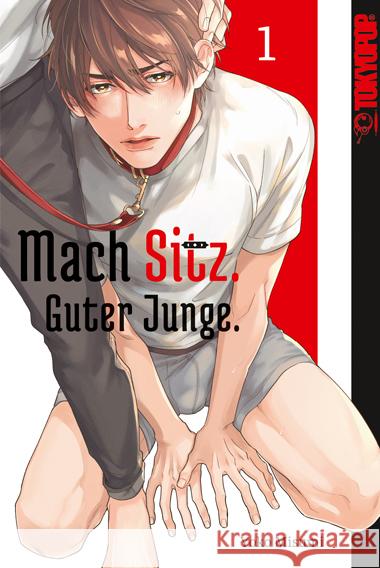Mach Sitz. Guter Junge. 01 Misumi, Yoko 9783759315304 Tokyopop - książka