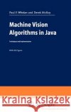 Machine Vision Algorithms in Java: Techniques and Implementation Whelan, Paul F. 9781852332181 Springer