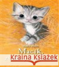 Macík, zvídavý kocourek Holly Webb 9788072116478 Nava - książka