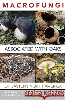 Macrofungi Associated with Oaks of Eastern North America Denise Binion Steve Stephenson William Roody 9781933202365 West Virginia University - książka