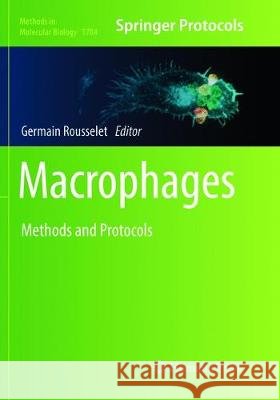 Macrophages: Methods and Protocols Rousselet, Germain 9781493993000 Humana Press - książka