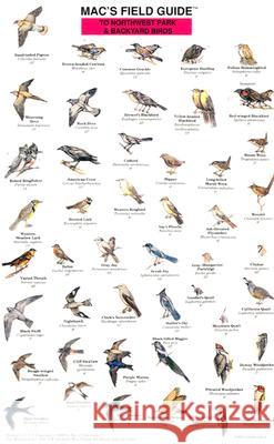 Mac's Field Guides: Northwest Park & Backyard Birds Macgowan, Craig 9780898862461 Mountaineers Books - książka