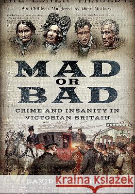 Mad or Bad: Crime and Insanity in Victorian Britain David J. Vaughan 9781473864139 Pen & Sword Books - książka