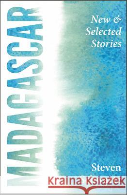 Madagascar: New and Selected Stories Steven Schwartz 9781938126406 Engine Books - książka