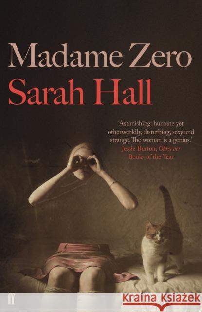 Madame Zero Sarah (Author) Hall 9780571290024 Faber & Faber - książka