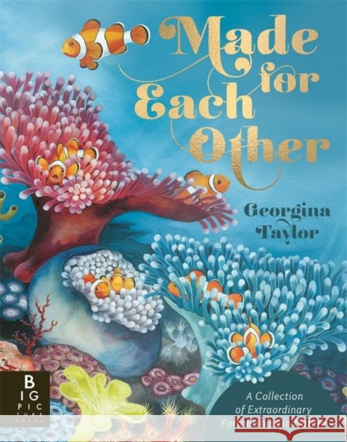 Made for Each Other Joanna McInerney 9781835878576 Bonnier Books Ltd - książka