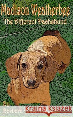 Madison Weatherbee- The Different Dachshund Barbara Anne Kirshner 9780615995397 Barbara Anne Kirshner - książka