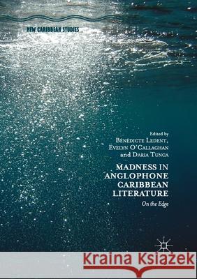 Madness in Anglophone Caribbean Literature: On the Edge Ledent, Benedicte 9783030405335 Palgrave MacMillan - książka