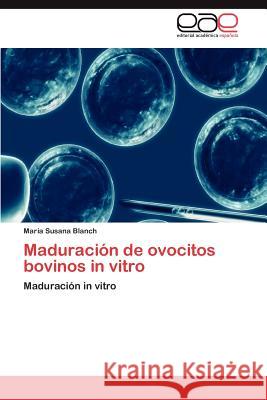 Maduracion de Ovocitos Bovinos in Vitro Mar a. Susana Blanch 9783659014987 Editorial Acad Mica Espa Ola - książka