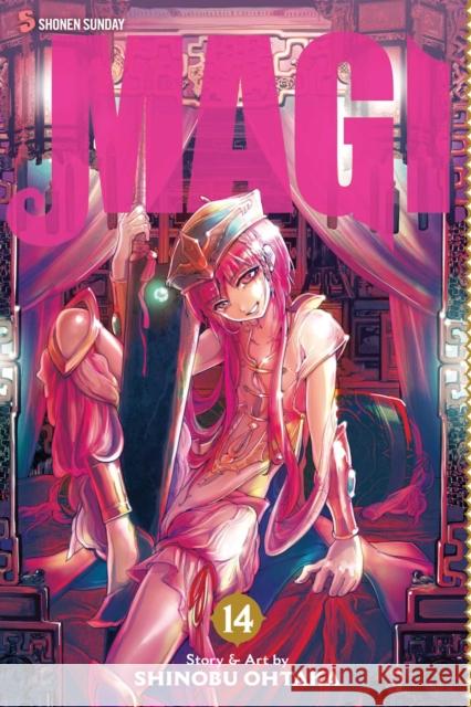 Magi: The Labyrinth of Magic, Vol. 14 Shinobu Ohtaka 9781421559643 Viz Media - książka