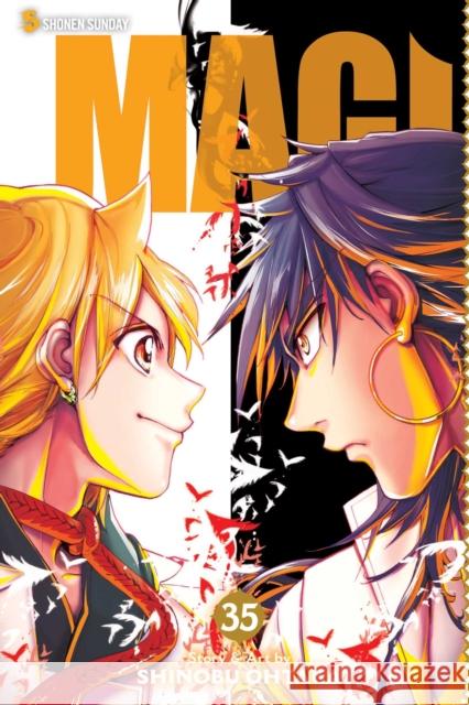 Magi: The Labyrinth of Magic, Vol. 35 Shinobu Ohtaka 9781974700721 Viz Media, Subs. of Shogakukan Inc - książka