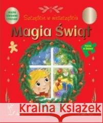 Magia Świąt. Szczęście w nieszczęściu Katarzyna Campbell 9788380387140 Arystoteles - książka