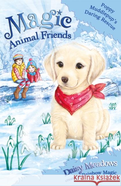 Magic Animal Friends: Poppy Muddlepup's Daring Rescue: Special 1 Daisy Meadows 9781408331750 Hachette Children's Group - książka