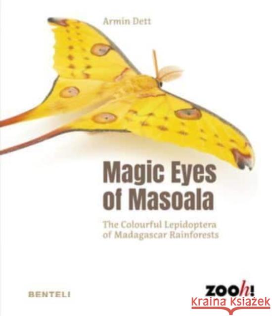 Magic Eyes of Masoala: The Colourful Lepidoptera of Madagascar Rainforests Armin Dett 9783716518762 Benteli Verlag - książka
