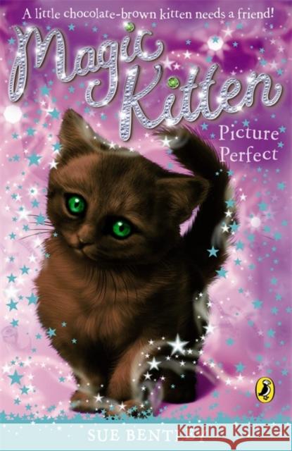 Magic Kitten: Picture Perfect Sue Bentley 9780141323480  - książka