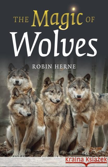 Magic of Wolves, The Robin Herne 9781803411064 John Hunt Publishing - książka