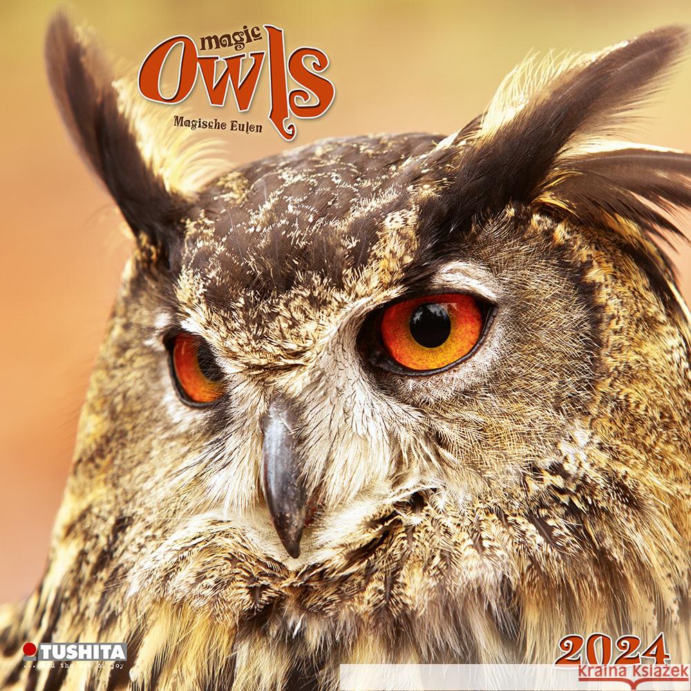 Magic Owls 2024  9783959292528 Tushita - książka