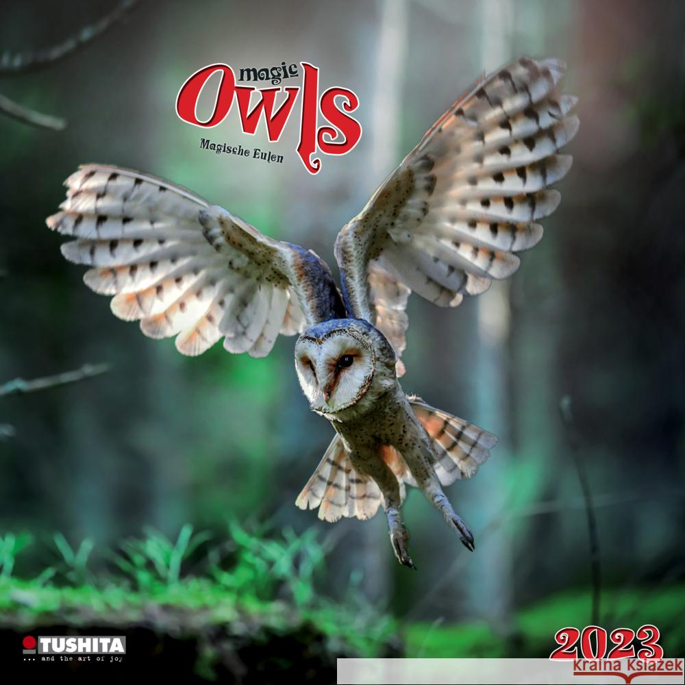 Magic Owls  2023  9783959290524 Tushita - książka