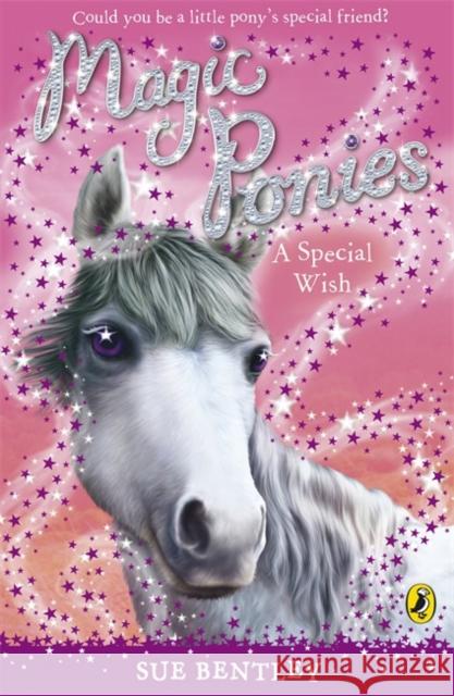 Magic Ponies: A Special Wish Sue Bentley 9780141325941  - książka