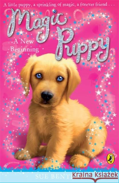 Magic Puppy: A New Beginning Sue Bentley 9780141323503  - książka