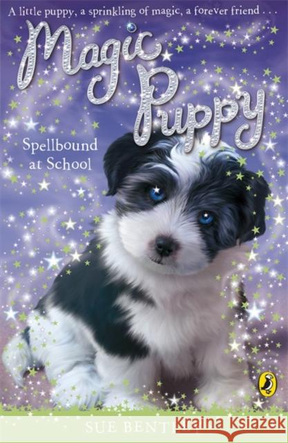 Magic Puppy: Spellbound at School Sue Bentley 9780141324753  - książka