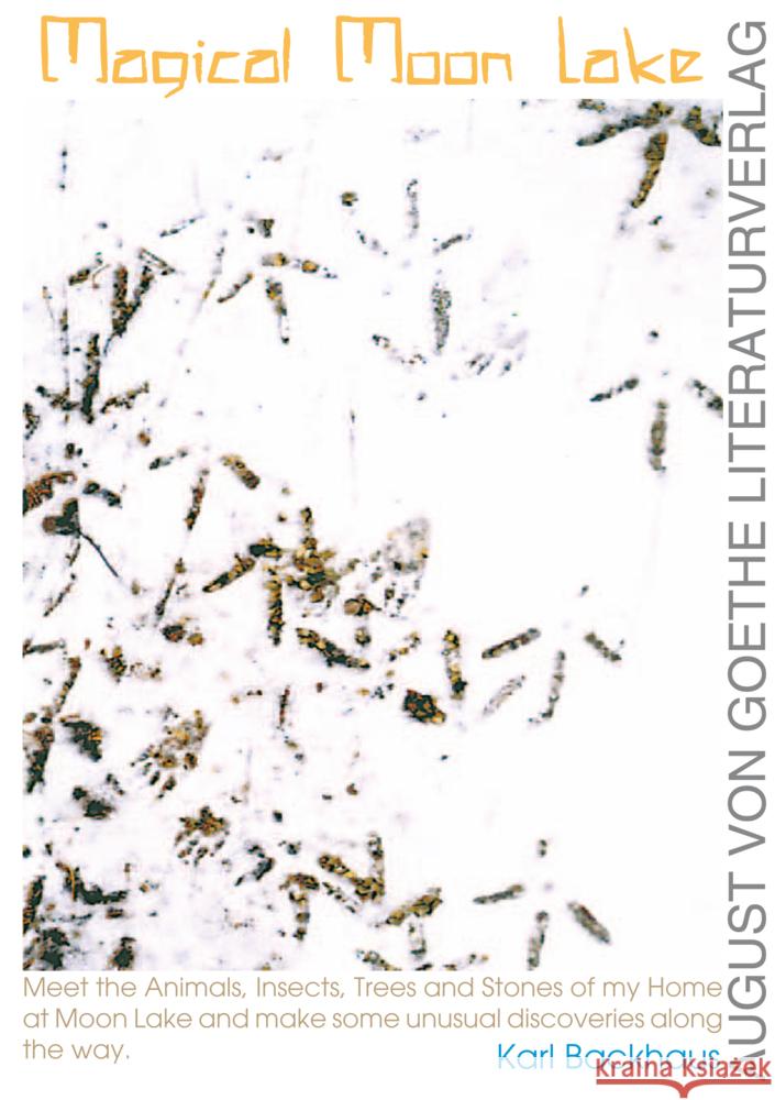 Magical Moon Lake Backhaus, Karl 9783837228076 Frankfurter Literaturverlag - książka