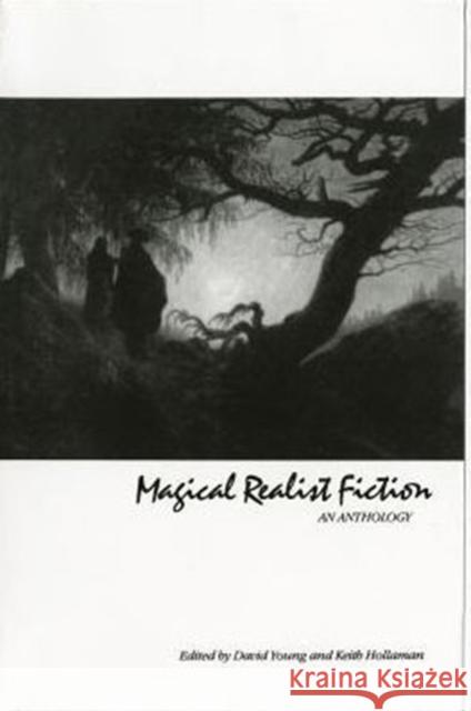 Magical Realist Fiction: An Anthology David Young, Keith Hollaman 9780582284524 John Wiley and Sons Ltd - książka