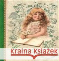 Magické bylinky Klára Trnková 9788087678633 Studio Trnka - książka