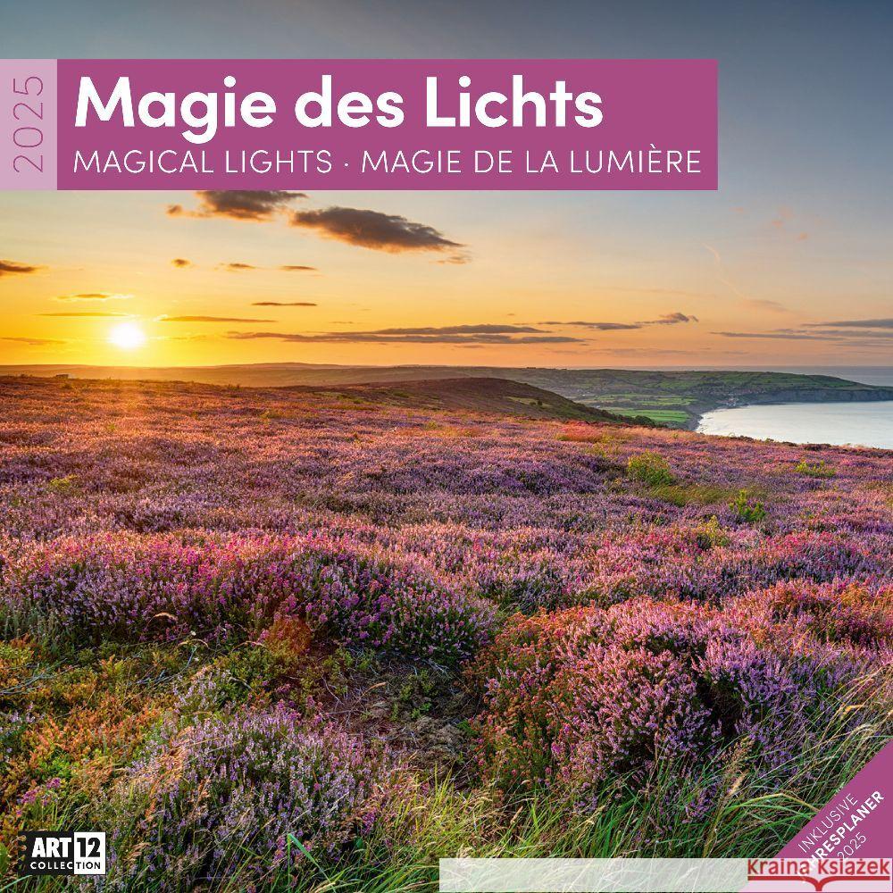 Magie des Lichts Kalender 2025 - 30x30 Ackermann Kunstverlag 9783838445106 Ackermann Kunstverlag - książka