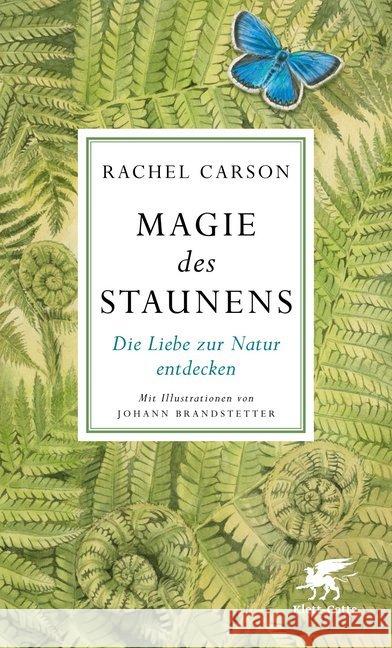 Magie des Staunens : Die Liebe zur Natur entdecken Carson, Rachel 9783608964103 Klett-Cotta - książka