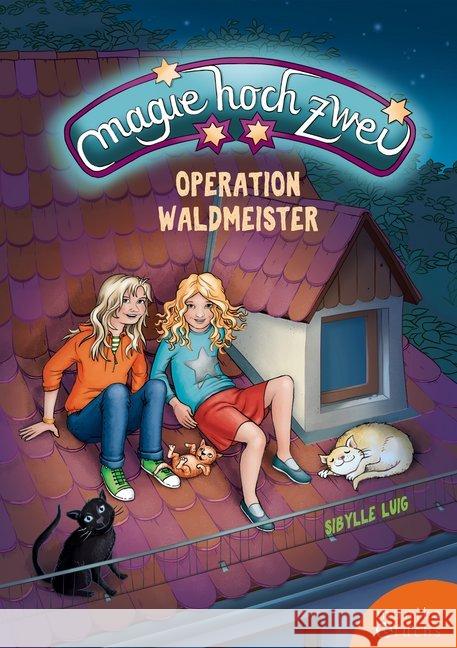 Magie hoch zwei - Operation Waldmeister Luig, Sibylle 9783947066223 Verlag Monika Fuchs - książka