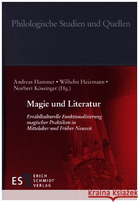 Magie und Literatur  9783503199167 Schmidt (Erich), Berlin - książka