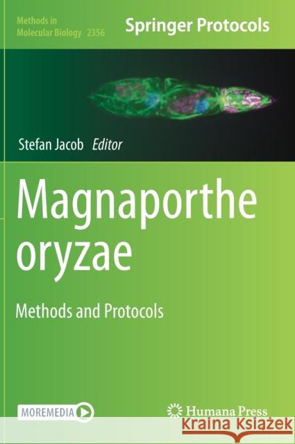 Magnaporthe Oryzae: Methods and Protocols Stefan Jacob 9781071616123 Humana - książka