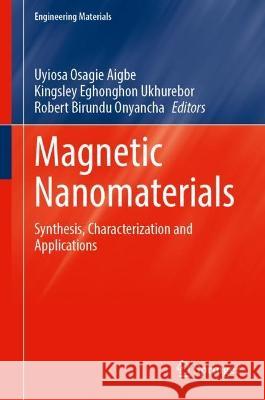 Magnetic Nanomaterials  9783031360879 Springer International Publishing - książka